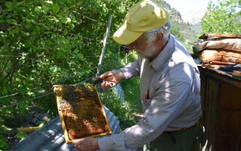 Stagione eccezionale fino ad ora per le api