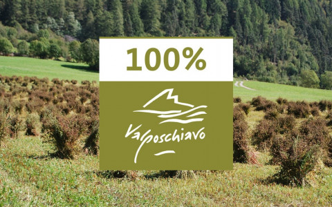 100% Valposchiavo nuovamente premiato 100% Valposchiavo nuovamente premiato