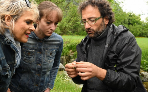 Festival delle erbe spontanee: le foto