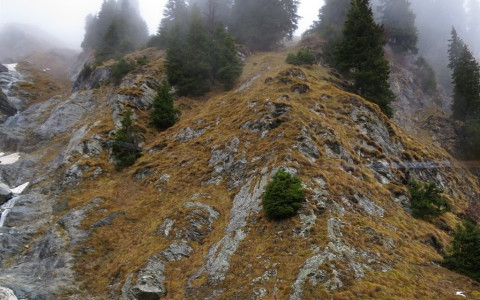 Bregaglia: escursionista trovato morto dalla Rega