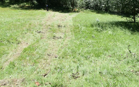 Rotola con trattore lungo pendio fino al ruscello