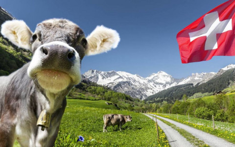 Poschiavo: Sì alla nuova legge sull`agricoltura