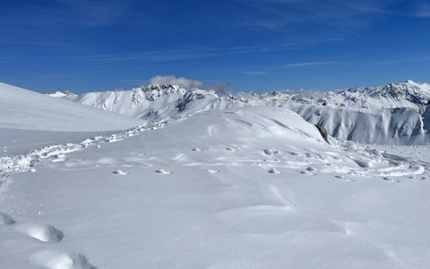 Ritrovato morto lo scialpinista scomparso Ritrovato morto lo scialpinista scomparso