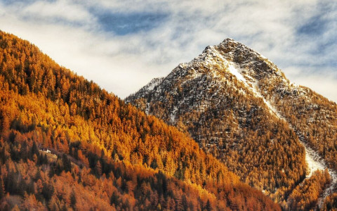 Concorso autunnale 2023: le nuove foto