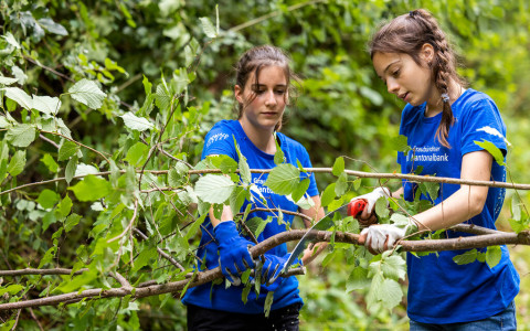 La BCG assegna 60 posti estivi