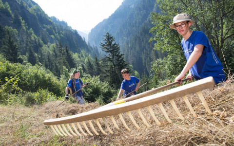 La BCG offre 60 posti estivi