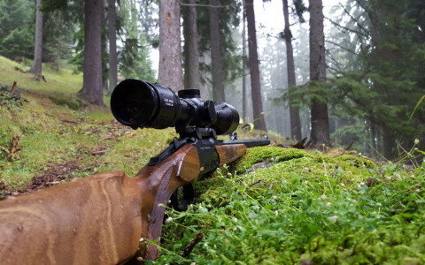 Incidente di caccia a Lüghina, nuovi sviluppi Incidente di caccia a Lüghina, nuovi sviluppi
