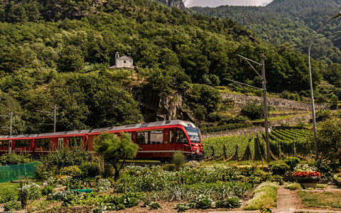 Prima processione di rogazione a Campascio