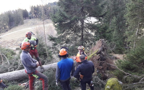 Corso approntamento legname da tempesta