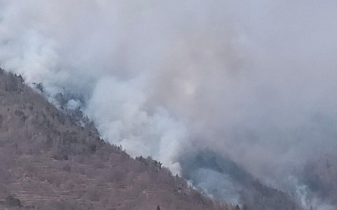 Brucia il bosco a Baruffini