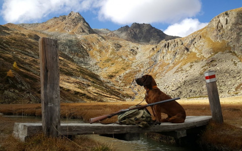 «Scatta la caccia» 2019: nuove foto
