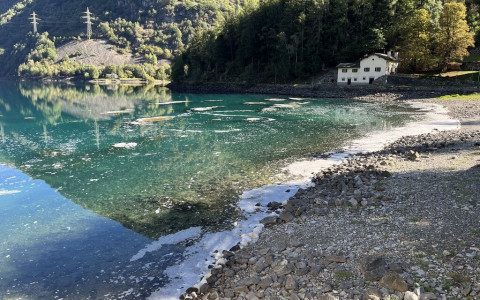 Il lago di Poschiavo coperto da una schiuma bianca