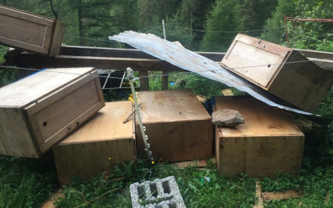 Un orso si ripresenta in Valposchiavo