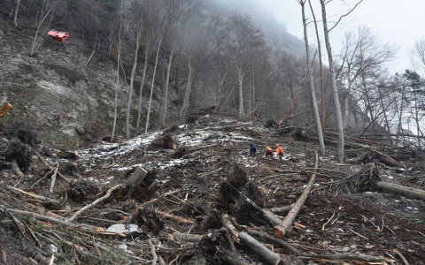 22enne operaio forestale si ferisce gravemente
