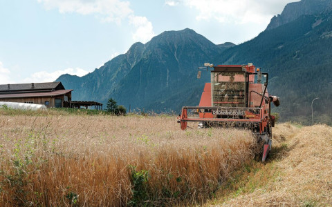 Un anno insieme alla mia terra