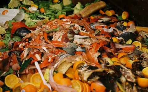 I Grigioni riducono i rifiuti alimentari