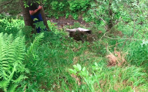 Rifiuti, quanto ci costate?