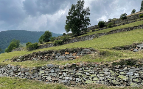 Contributi per il rinnovo di muri a secco