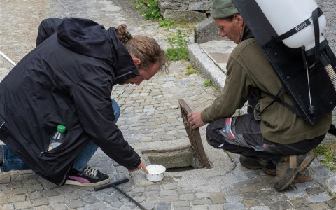 Continua la lotta alle zanzare invasive