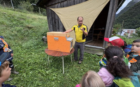 Il magico mondo delle api