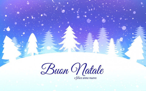 Auguri di Buon Natale e Felice Anno Nuovo Auguri di Buon Natale e Felice Anno Nuovo