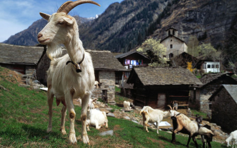 Il primo parco regionale della Svizzera italiana