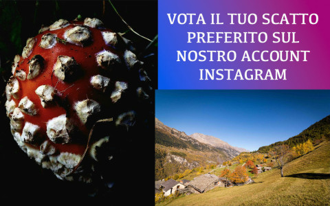 Vota la tua fotografia preferita
