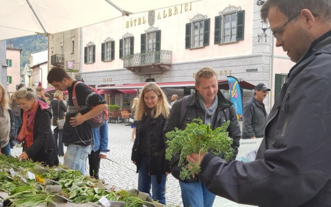 Annullato il Festival delle erbe spontanee 2020