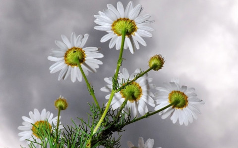 Turismo: 77% è condizionato dal terrorismo