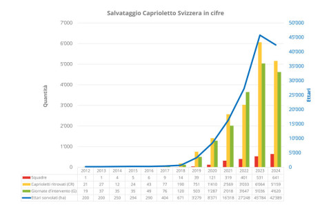 Salvataggio caprioletti reso difficile dalla meteo