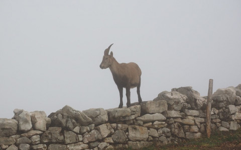 Muretti a secco: patrimonio UNESCO