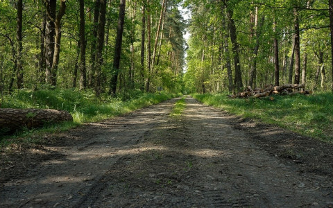9,73 milioni fr per sistemare strade forestali