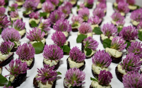 Festival delle erbe spontanee: il programma 