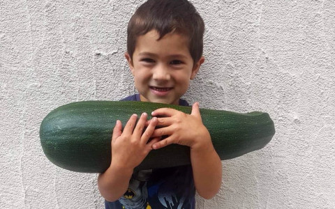 A Brusio una zucchina da record