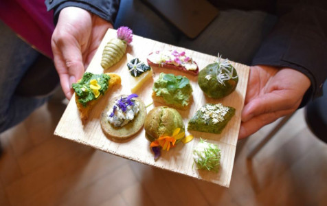 Festival delle erbe spontanee 2024: le foto