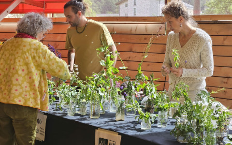 Festival delle erbe spontanee 2025 - Le foto