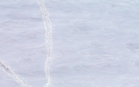 Morti due alpinisti sul ghiacciaio del Pers