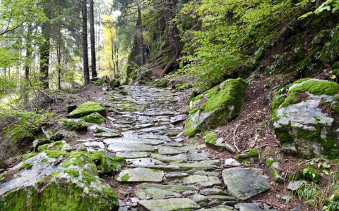 Giro dei secoli: una camminata nella storia Giro dei secoli: una camminata nella storia