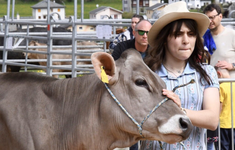 Mostra distrettuale di bestiame - Le foto Mostra distrettuale di bestiame - Le foto