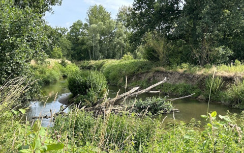 I punti critici della biodiversità nei Grigioni