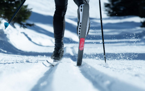 La carenza di pesci non è colpa della sciolina