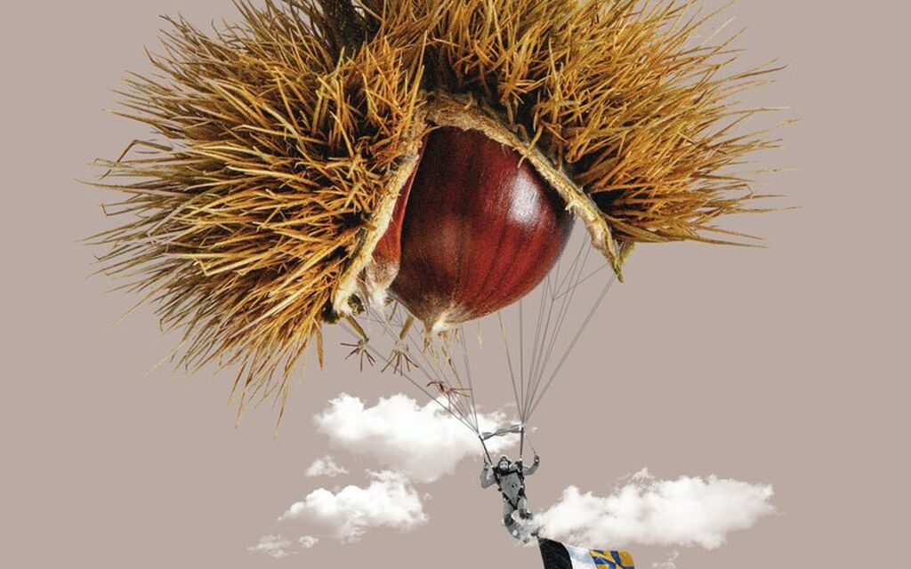 Riccio Castagne 9e679