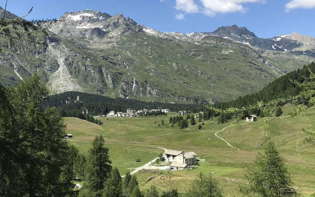 Salecina Estate 2019 5d977