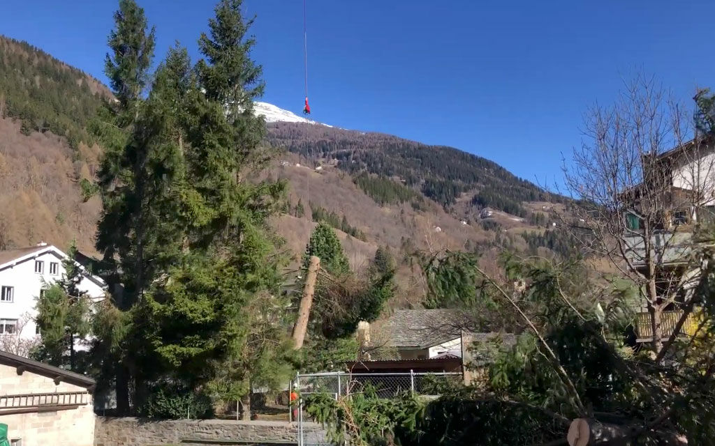 Taglio Alberi Poschiavo 8b25e